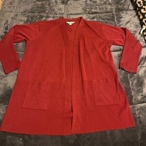 Terra & sky Cadigan Size 0x
